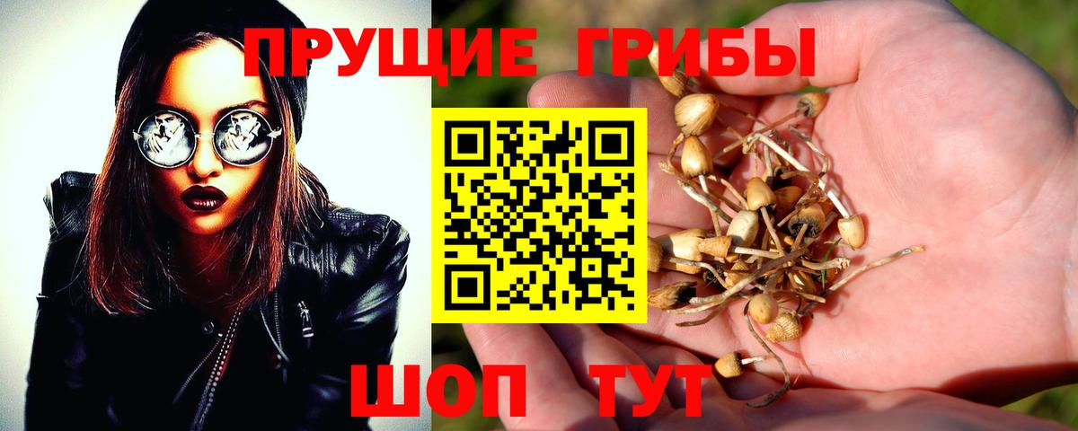 Галлюциногенные грибы Cubensis  купить наркоту  Кириши  Вход с VPN  Галлюциногенные грибы MAGIC MUSHROOMS 